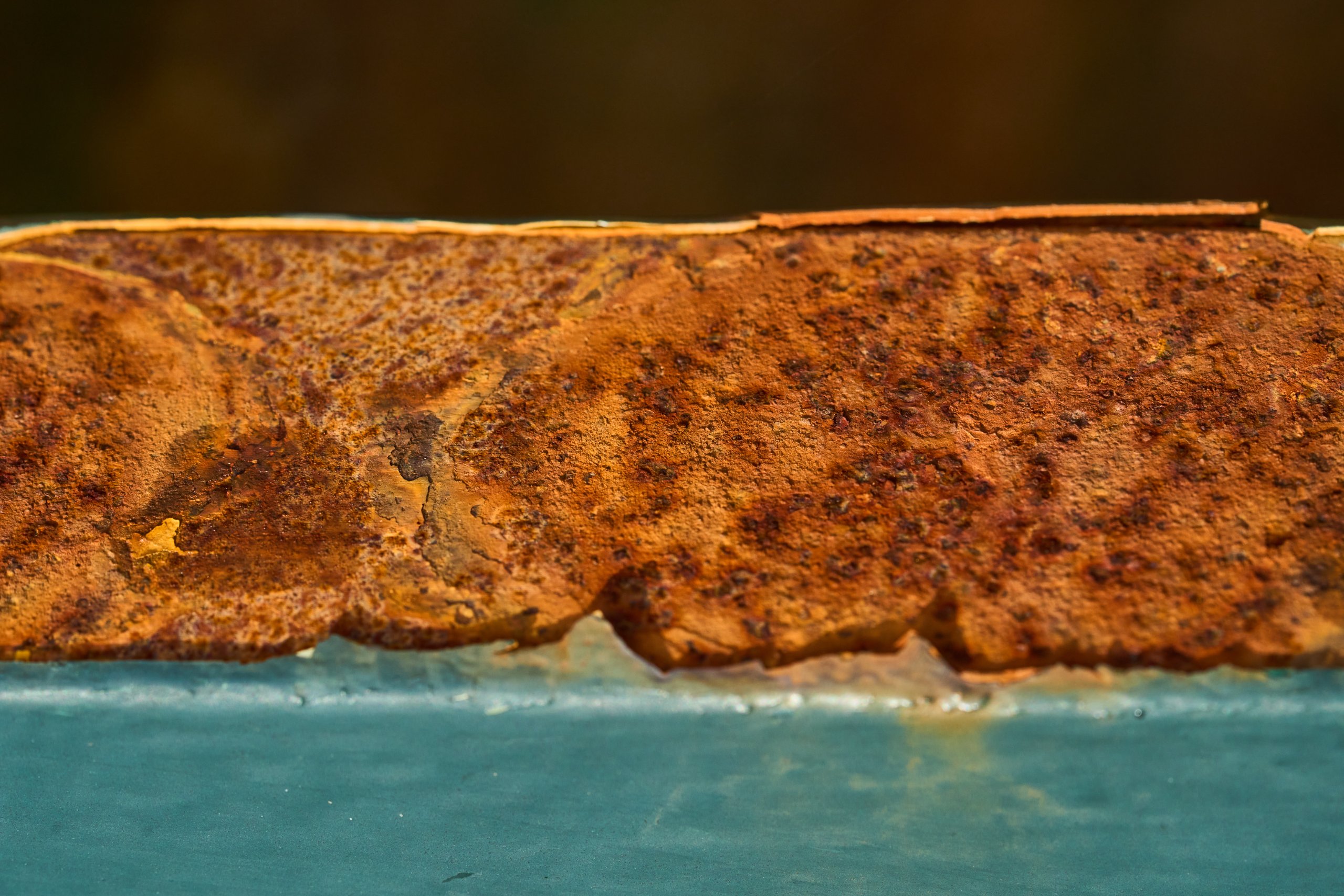 2025 11 02 Gruga 0037